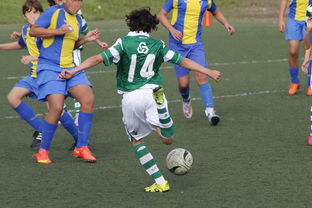 开云体育APP下载-最后几场比赛，谁能实现逆袭？，最后三场比赛